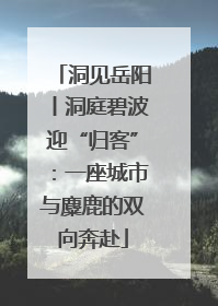 洞见岳阳丨洞庭碧波迎“归客”：一座城市与麋鹿的双向奔赴