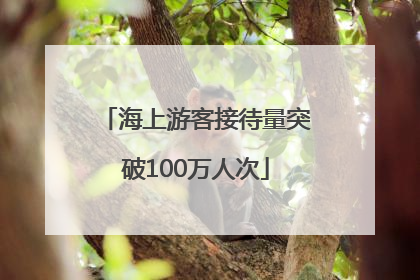 海上游客接待量突破100万人次