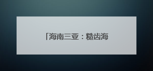 海南三亚：糙齿海豚被成功放归大海
