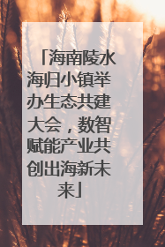 海南陵水海归小镇举办生态共建大会，数智赋能产业共创出海新未来