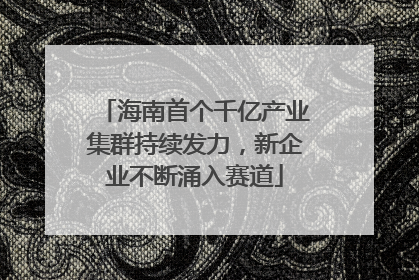 海南首个千亿产业集群持续发力，新企业不断涌入赛道