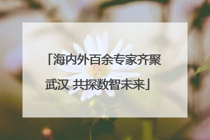 海内外百余专家齐聚武汉 共探数智未来