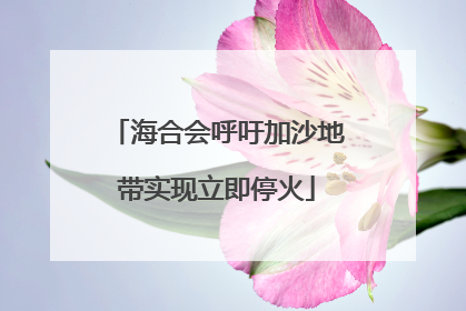 海合会呼吁加沙地带实现立即停火