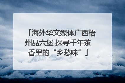 海外华文媒体广西梧州品六堡 探寻千年茶香里的“乡愁味”