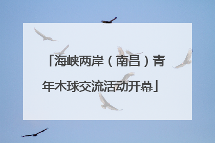 海峡两岸（南昌）青年木球交流活动开幕