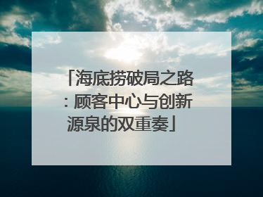 海底捞破局之路：顾客中心与创新源泉的双重奏