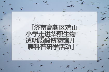 济南高新区鸡山小学走进华熙生物透明质酸博物馆开展科普研学活动