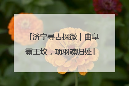 济宁寻古探微｜曲阜霸王坟，项羽魂归处