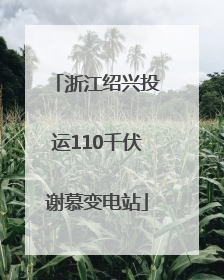 浙江绍兴投运110千伏谢慕变电站