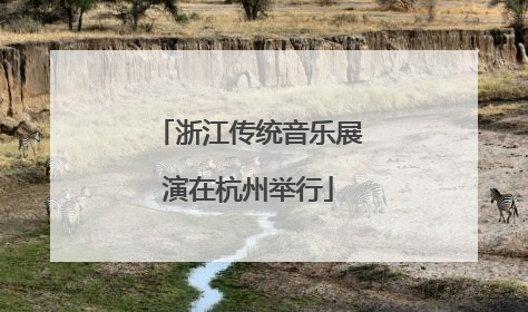 浙江传统音乐展演在杭州举行