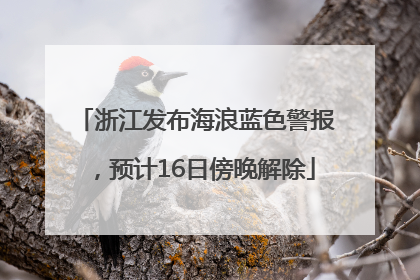 浙江发布海浪蓝色警报，预计16日傍晚解除