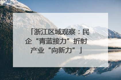 浙江区域观察：民企“青蓝接力”折射产业“向新力”