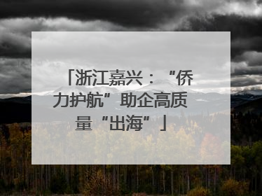 浙江嘉兴：“侨力护航”助企高质量“出海”