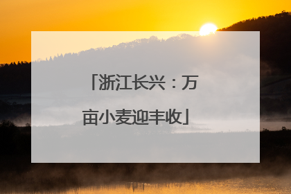 浙江长兴：万亩小麦迎丰收