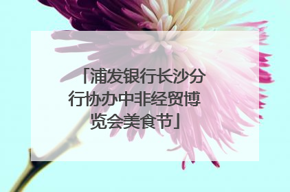 浦发银行长沙分行协办中非经贸博览会美食节