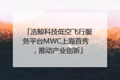 浩鲸科技低空飞行服务平台MWC上海首秀，推动产业创新