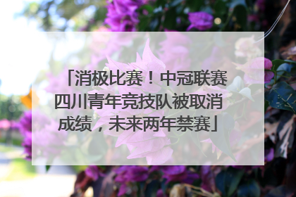 消极比赛！中冠联赛四川青年竞技队被取消成绩，未来两年禁赛