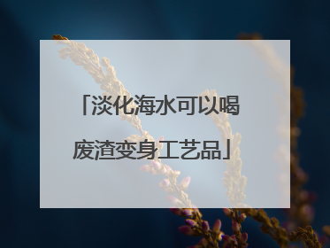 淡化海水可以喝 废渣变身工艺品