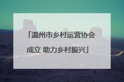 温州市乡村运营协会成立 助力乡村振兴