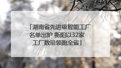 湖南省先进级智能工厂名单出炉 衡阳以32家工厂数量领跑全省