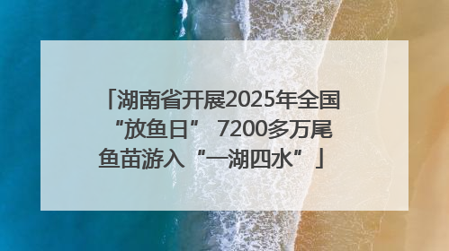 湖南省开展2025年全国“放鱼日” 7200多万尾鱼苗游入“一湖四水”