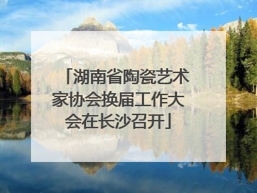 湖南省陶瓷艺术家协会换届工作大会在长沙召开