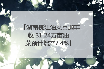 湖南桃江油菜喜迎丰收 31.24万亩油菜预计增产7.4%