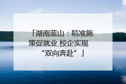 湖南蓝山：精准施策促就业 校企实现“双向奔赴”