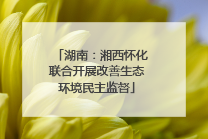 湖南：湘西怀化联合开展改善生态环境民主监督