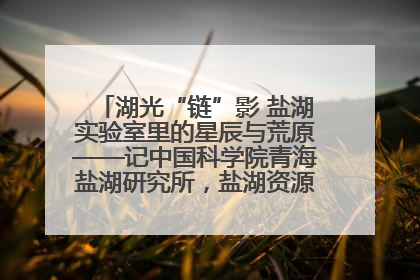湖光“链”影 盐湖实验室里的星辰与荒原——记中国科学院青海盐湖研究所，盐湖资源化学实验室党总支书记、副主任刘忠