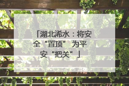 湖北浠水：将安全“置顶” 为平安“把关”