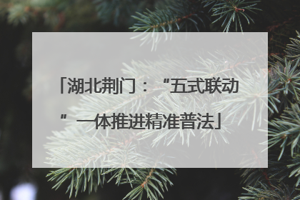 湖北荆门：“五式联动”一体推进精准普法