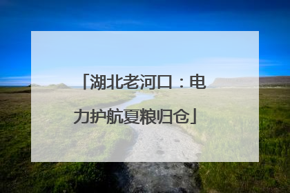 湖北老河口：电力护航夏粮归仓