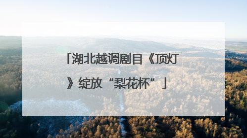 湖北越调剧目《顶灯》绽放“梨花杯”