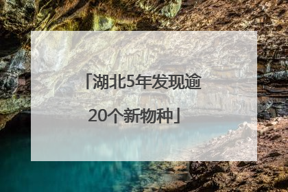湖北5年发现逾20个新物种