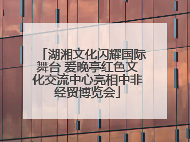湖湘文化闪耀国际舞台 爱晚亭红色文化交流中心亮相中非经贸博览会