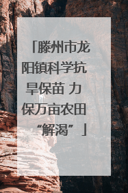 滕州市龙阳镇科学抗旱保苗 力保万亩农田“解渴”
