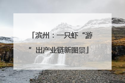 滨州：一只虾“游”出产业链新图景