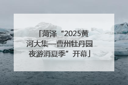菏泽“2025黄河大集—曹州牡丹园夜游消夏季”开幕