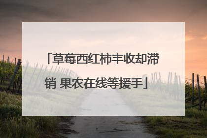 草莓西红柿丰收却滞销 果农在线等援手