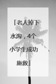 老人掉下水沟，4个小学生成功施救