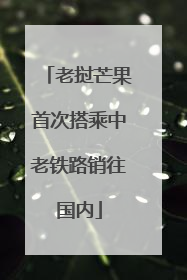 老挝芒果首次搭乘中老铁路销往国内