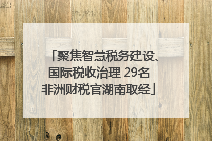 聚焦智慧税务建设、国际税收治理 29名非洲财税官湖南取经