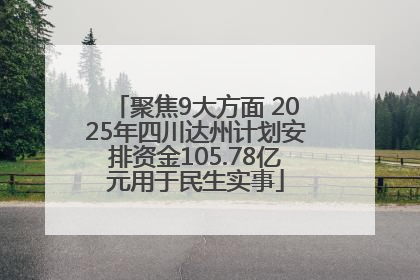 聚焦9大方面 2025年四川达州计划安排资金105.78亿元用于民生实事