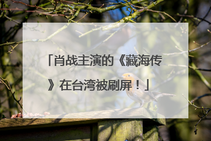 肖战主演的《藏海传》在台湾被刷屏！