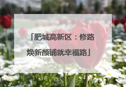 肥城高新区：修路焕新颜铺就幸福路