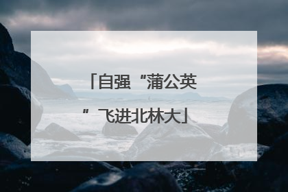 自强“蒲公英”飞进北林大