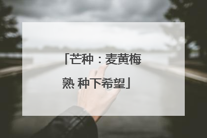 芒种：麦黄梅熟 种下希望