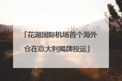 花湖国际机场首个海外仓在意大利揭牌投运