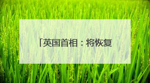 英国首相：将恢复英国“战备状态”